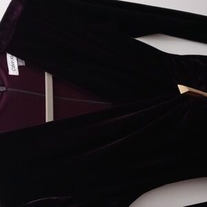 Calvin Klein velvet dress 2